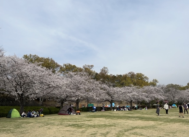 ４月に入り桜の季節となりました。