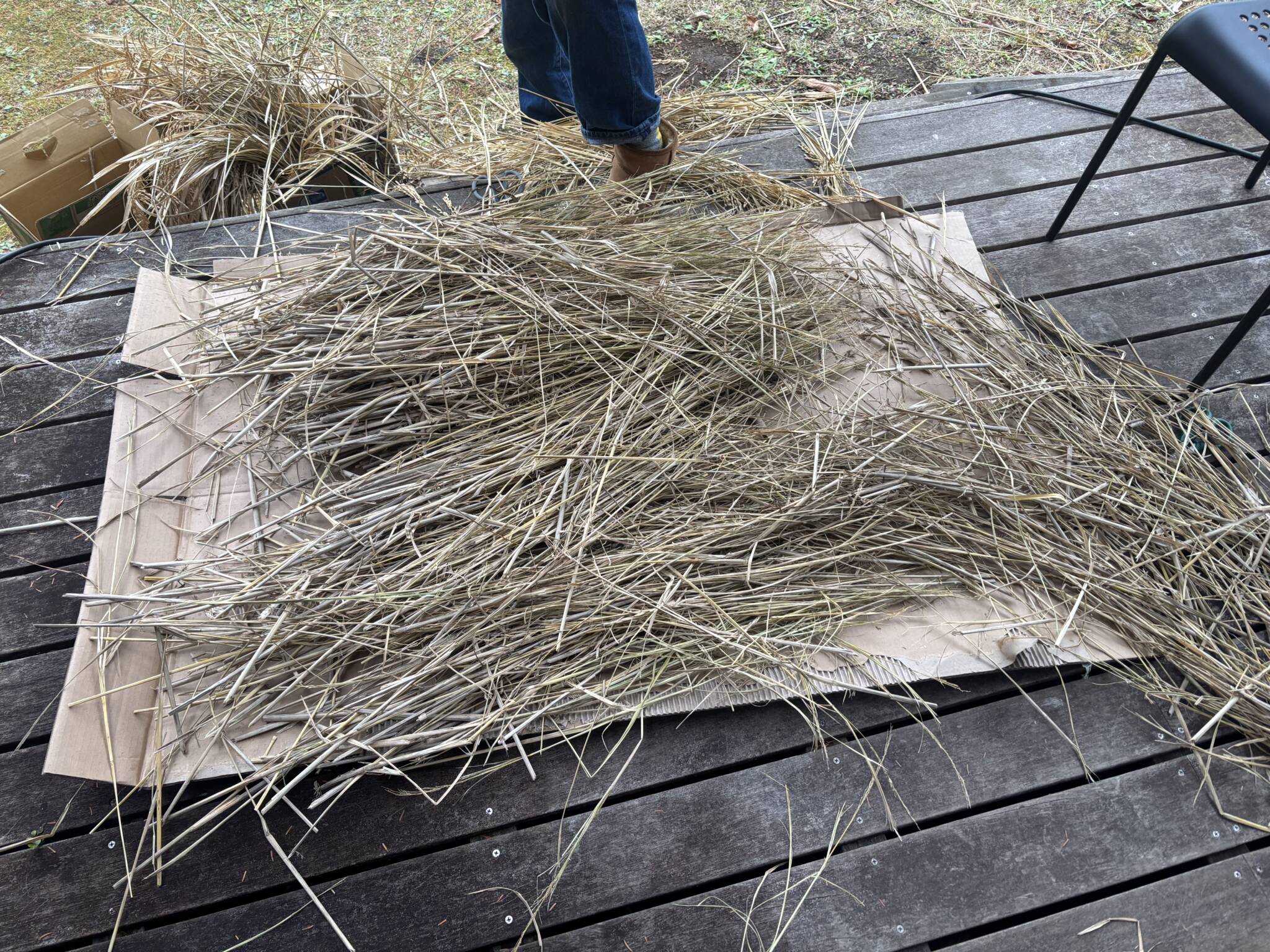 今年も大変お世話になりました