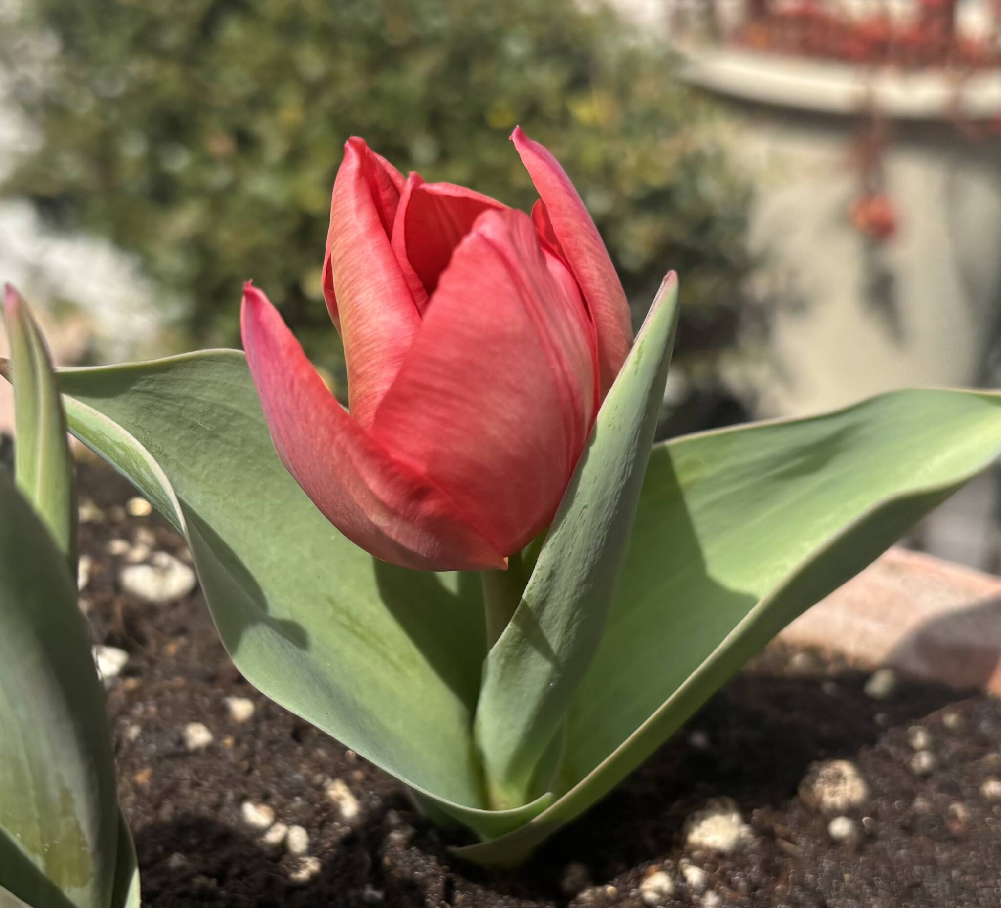 4年目突入しました！