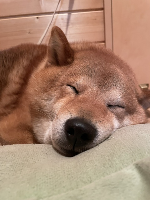 よろしくお願いします。